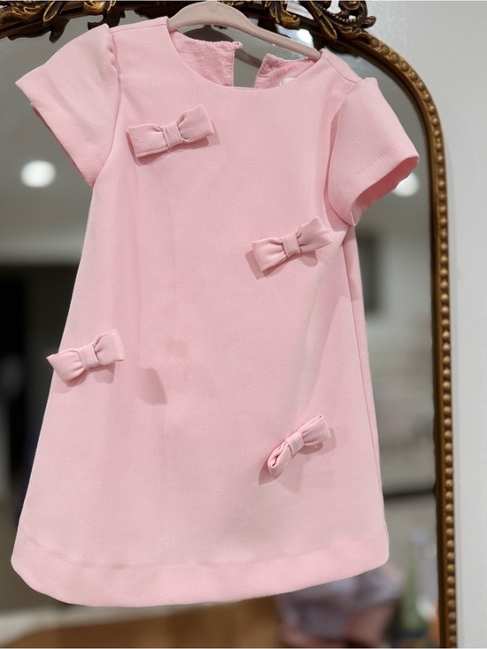 Zara Other - Zara Pink Short Sleeve A-line Dress with Bow Details